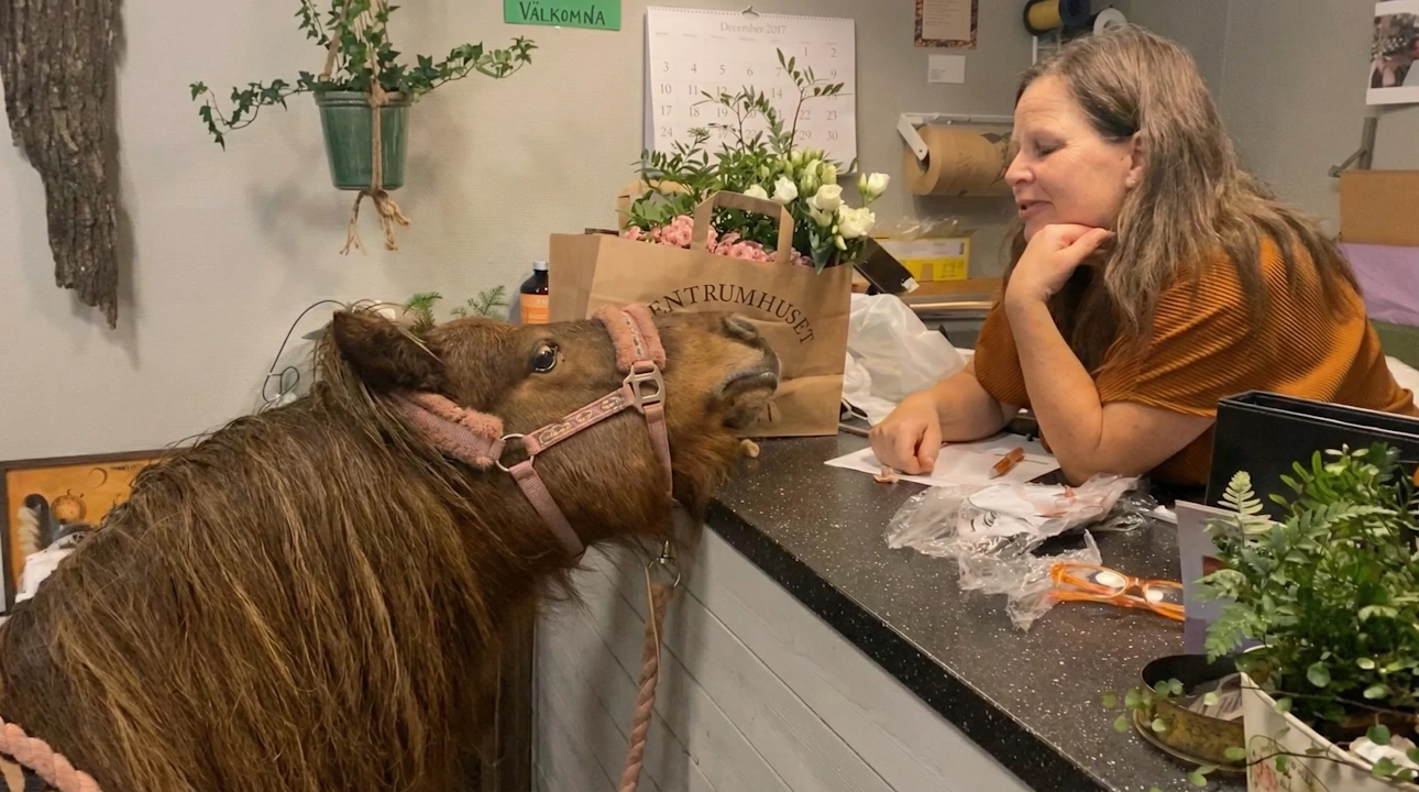 På blomsteraffären